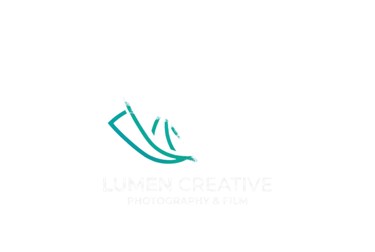 母狗传媒合作品牌技术服务